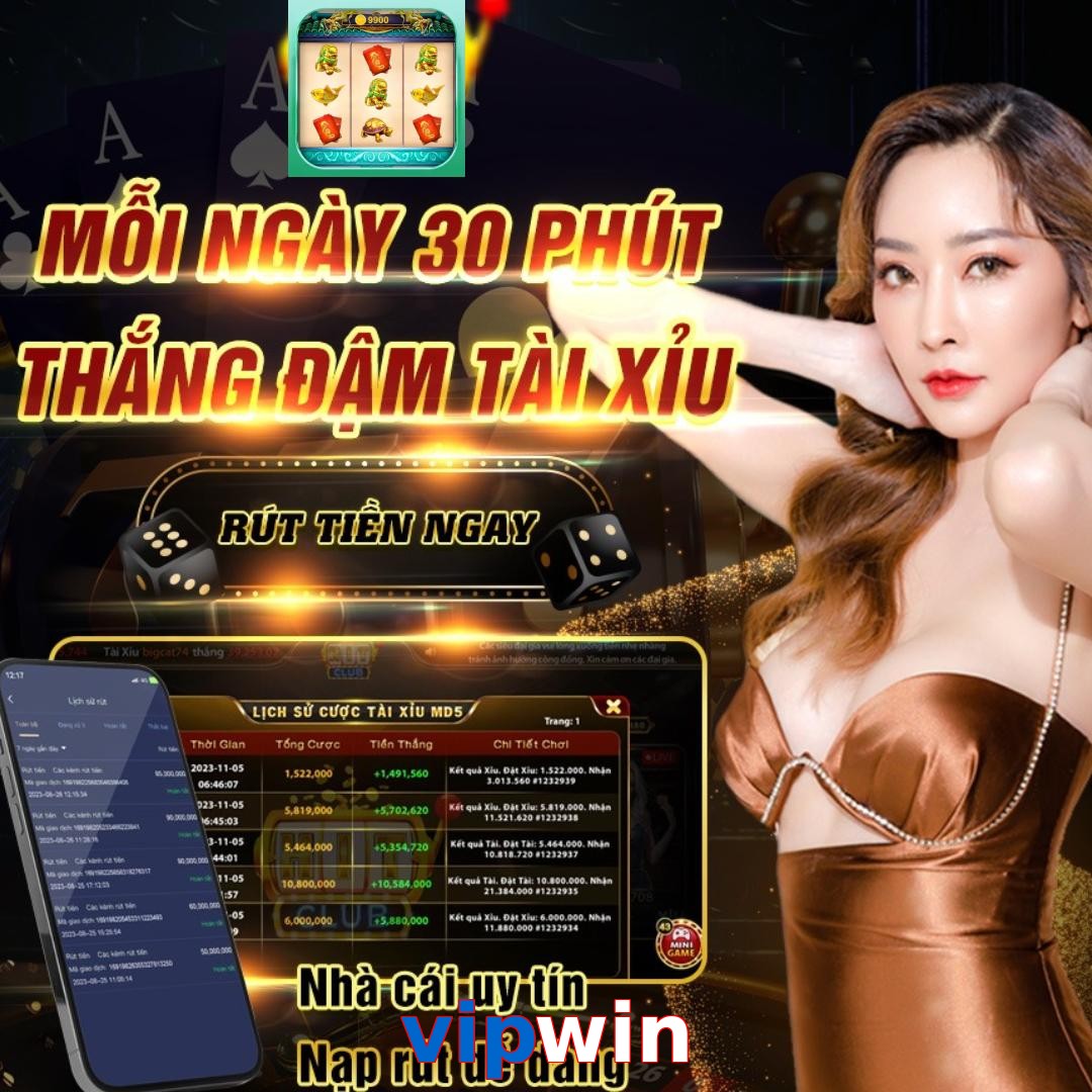 vipwin