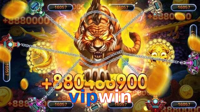 vipwin