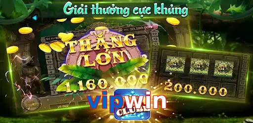 vipwin