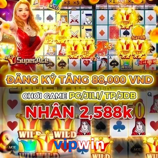 vipwin